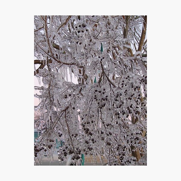 Item preview, Winter Wonderland 1 designed and sold by Angi Baker.