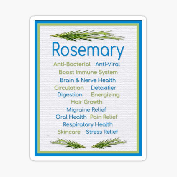 Item preview, Rosemary Herbal Studies  designed and sold by sweetpea73.