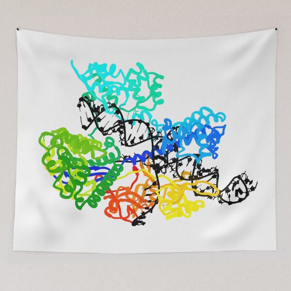 Item preview, CRISPR Cas9 designed and sold by 3D Biology.