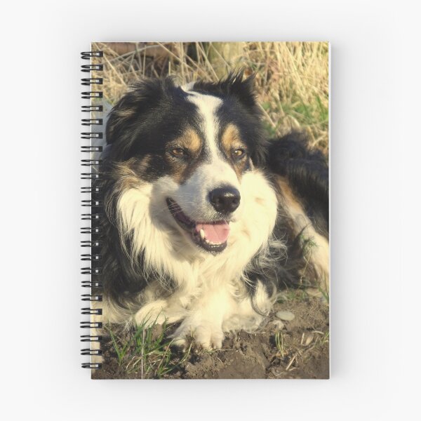 Item preview, Handsome Laddie. designed and sold by Michael Haslam.