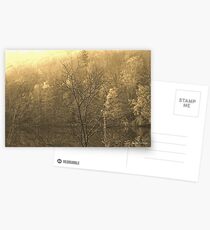 Autumn Morning at the Lake in Sepia Postcards