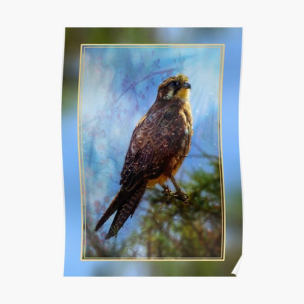 Eagle Poster