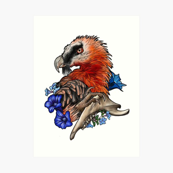 100,000 Vulture tattoo Vector Images | Depositphotos