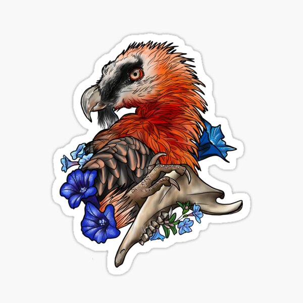 A Bearded Vulture in a Hat Watercolor Prints - Etsy Sweden