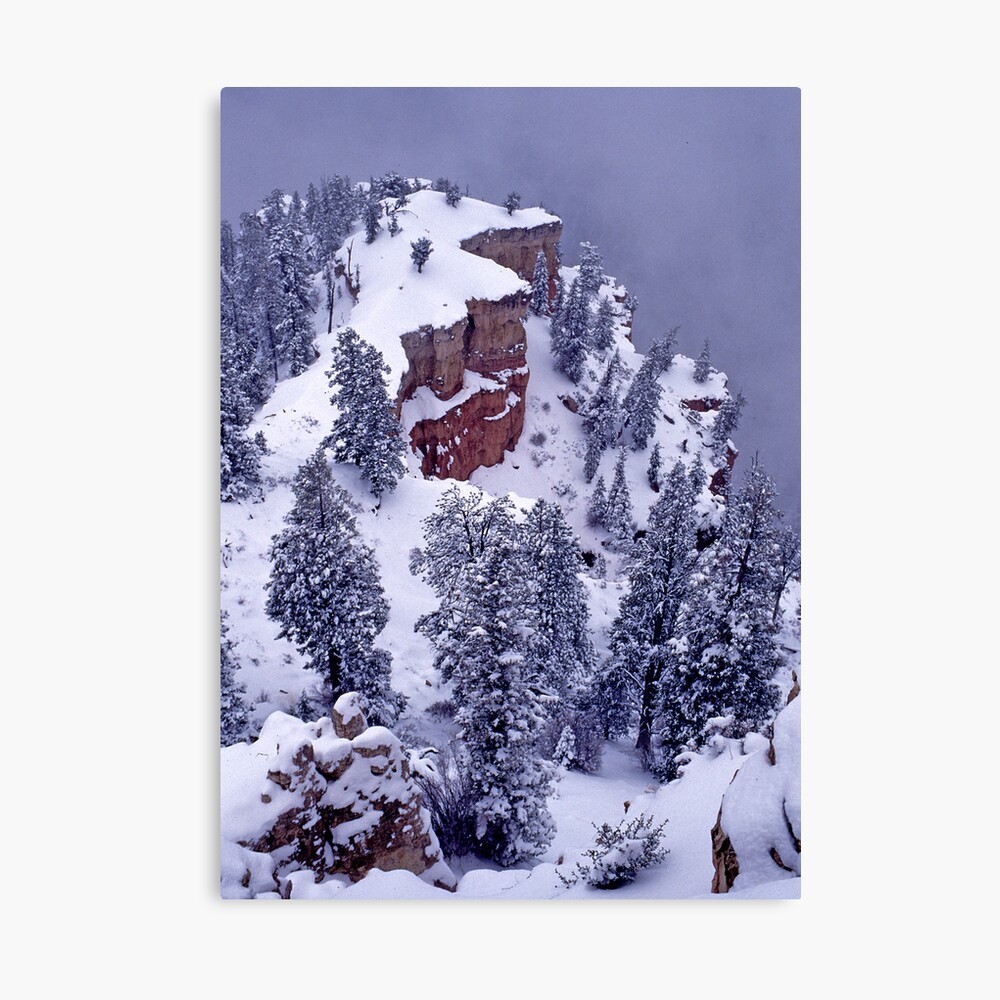 Edge of Winter Canvas Print
