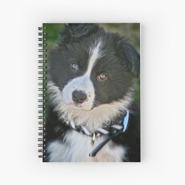 The baby Border Collie Spiral Notebook