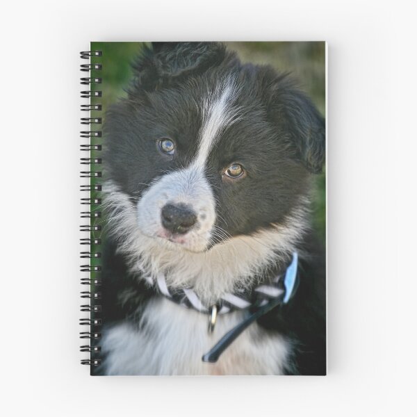 Item preview, The baby Border Collie designed and sold by Murray Swift.
