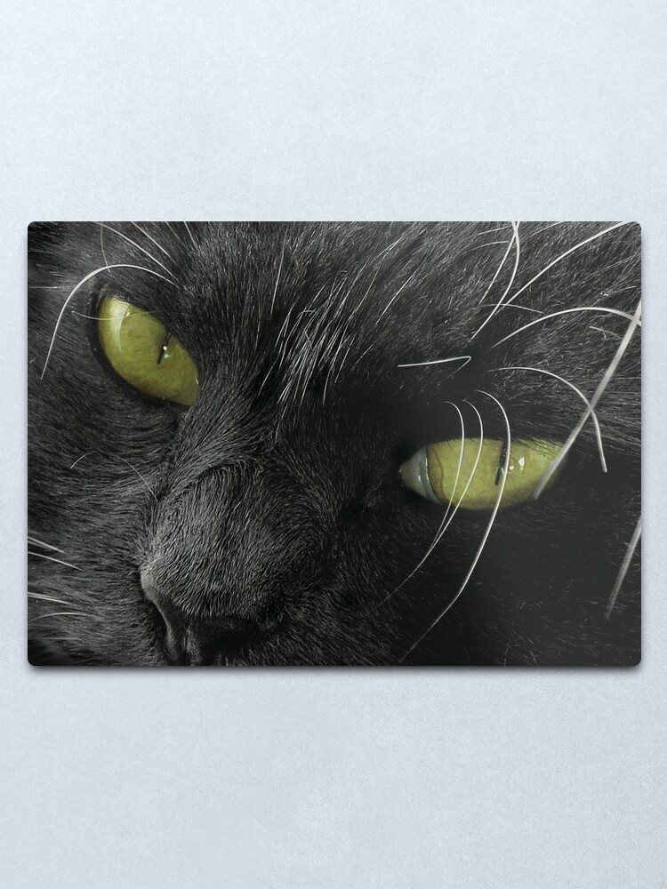Alternate view of Grimalkin Metal Print