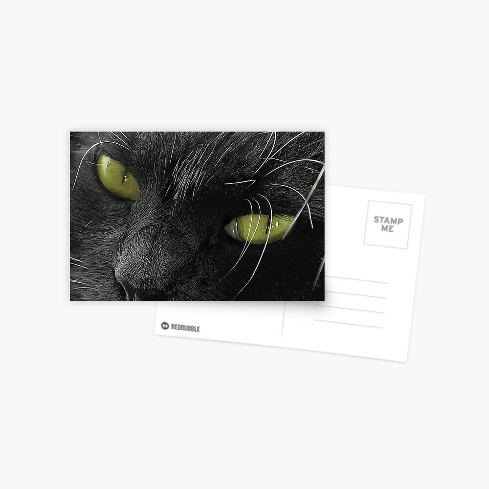 Grimalkin Postcard