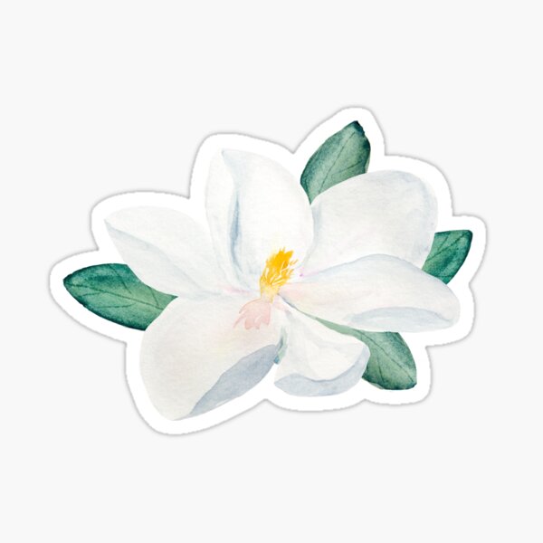 Artikel-Vorschau von Magnolienblüte, designt und verkauft von Jensphotos.