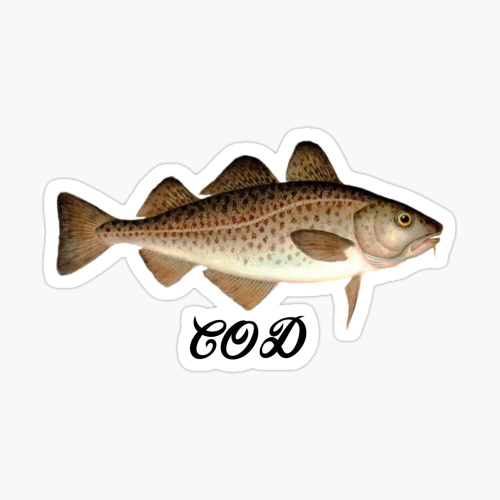 Cod - Fish - Fishing - Cod Shirt - Fish Shirt - Fishing Shirt - Cod Fishing  iPad Case & Skin for Sale by Galvanized