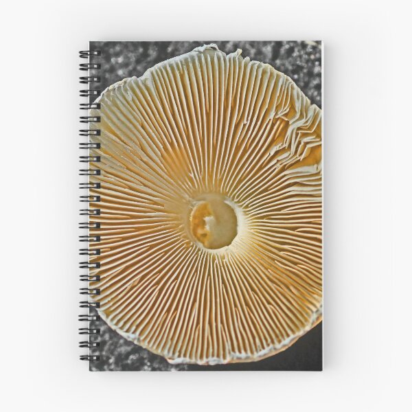 Item preview, Under The 'Shroom' designed and sold by Chet  King.