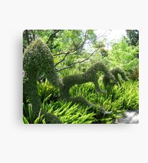 Topiary Canvas Print