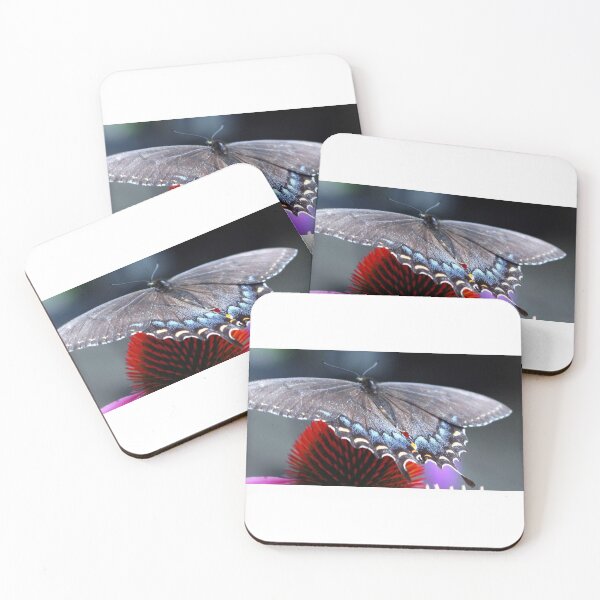 Item preview, Blue butterfly designed and sold by searchlight.