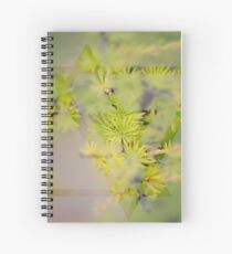 Larch Spiral Notebook