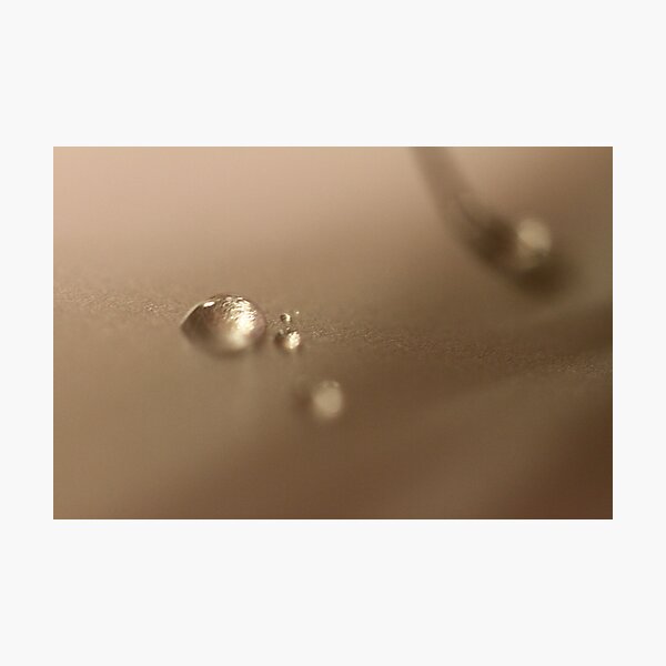 Object: Water drops Photographic Print