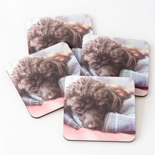 Item preview, I'm so comfy designed and sold by KensLensDesigns.