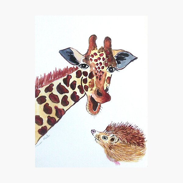 Жираф и ёж. Жираф и ежик. Hedgehog pancake. Ежик рисунок. Открытка с жирафом с днем рождения.