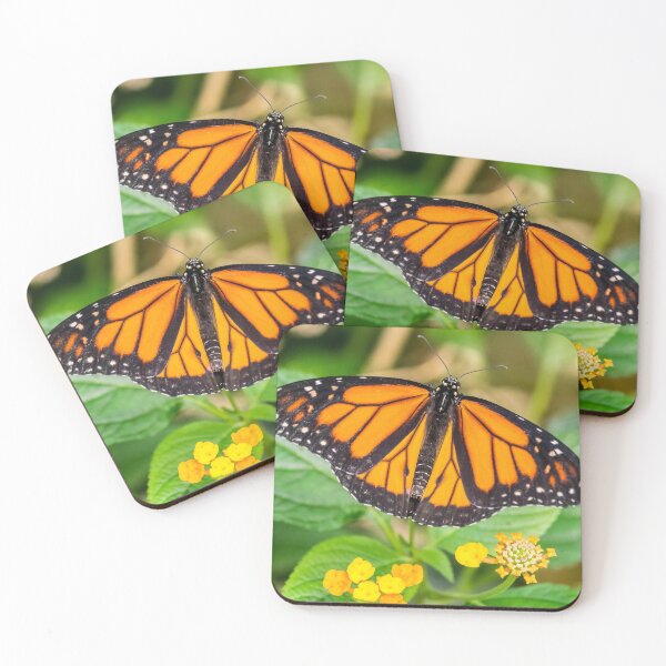 Item preview, Monarch Butterfly designed and sold by iCimages.net.