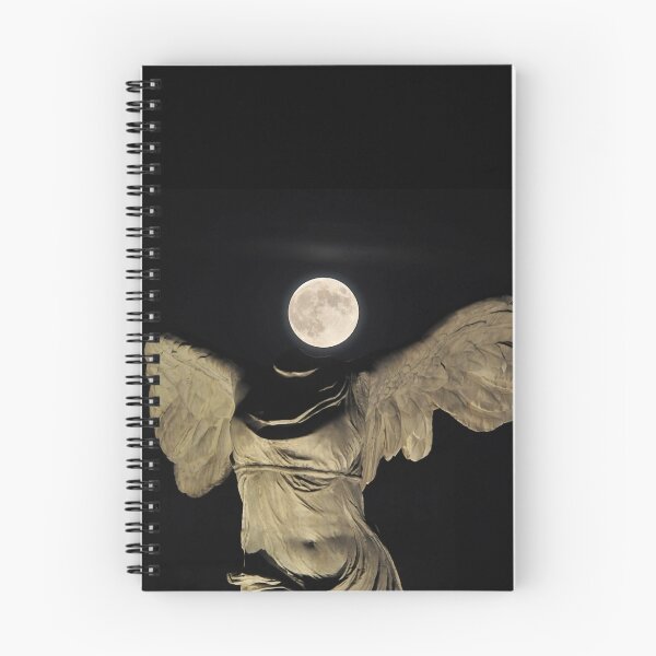 Item preview, Angel wings (Ailes d'ange) designed and sold by Philippe Contal.