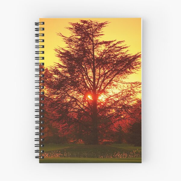 Item preview, The Fire Tree (L'Arbre de feu) designed and sold by Philippe Contal.