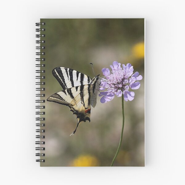 Item preview, Scarce Swallowtail designed and sold by cuprum.