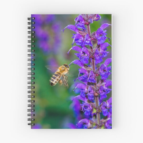 Item preview, Bee approaching an ornamental sage plant designed and sold by Mark Bangert.