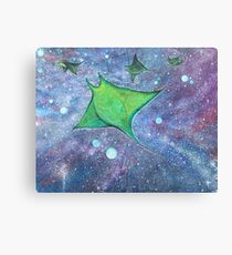 Hahalua Canvas Print
