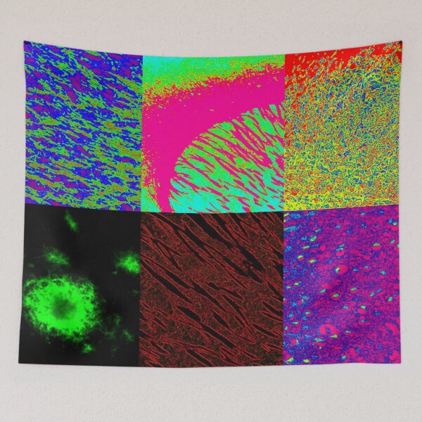 Item preview, Neuroscience Images designed and sold by 3D Biology.