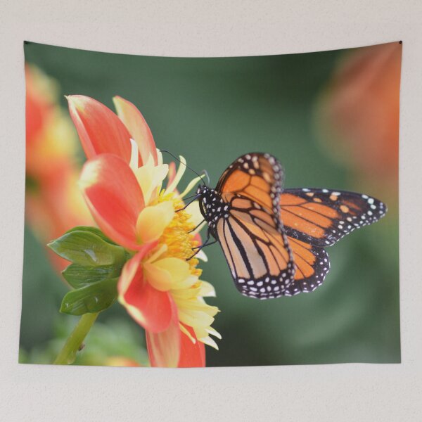 Item preview, Monarch in the Quarry designed and sold by lizdomett.