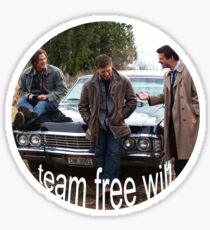 Team Free Will Sticker