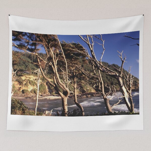 Item preview, Cape Perpetua 2 designed and sold by jklune.