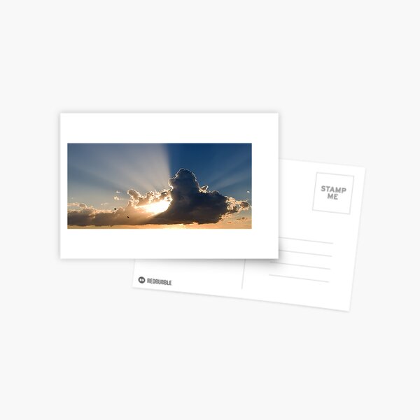Flight into sunset Postcard