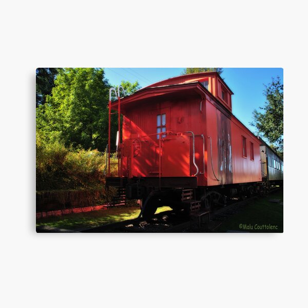 Canvas Print