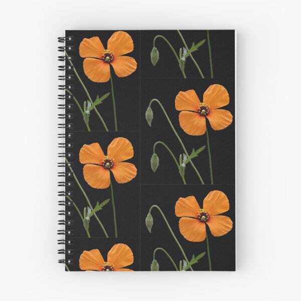 Item preview, A Touch Of Orange designed and sold by CarolM.