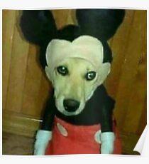 cursed image of doge in costume :( Poster