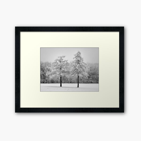 Snowy twin pines Framed Art Print