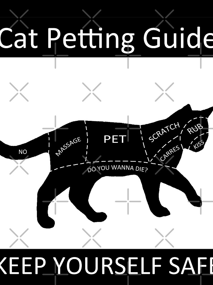 cat petting guide shirt