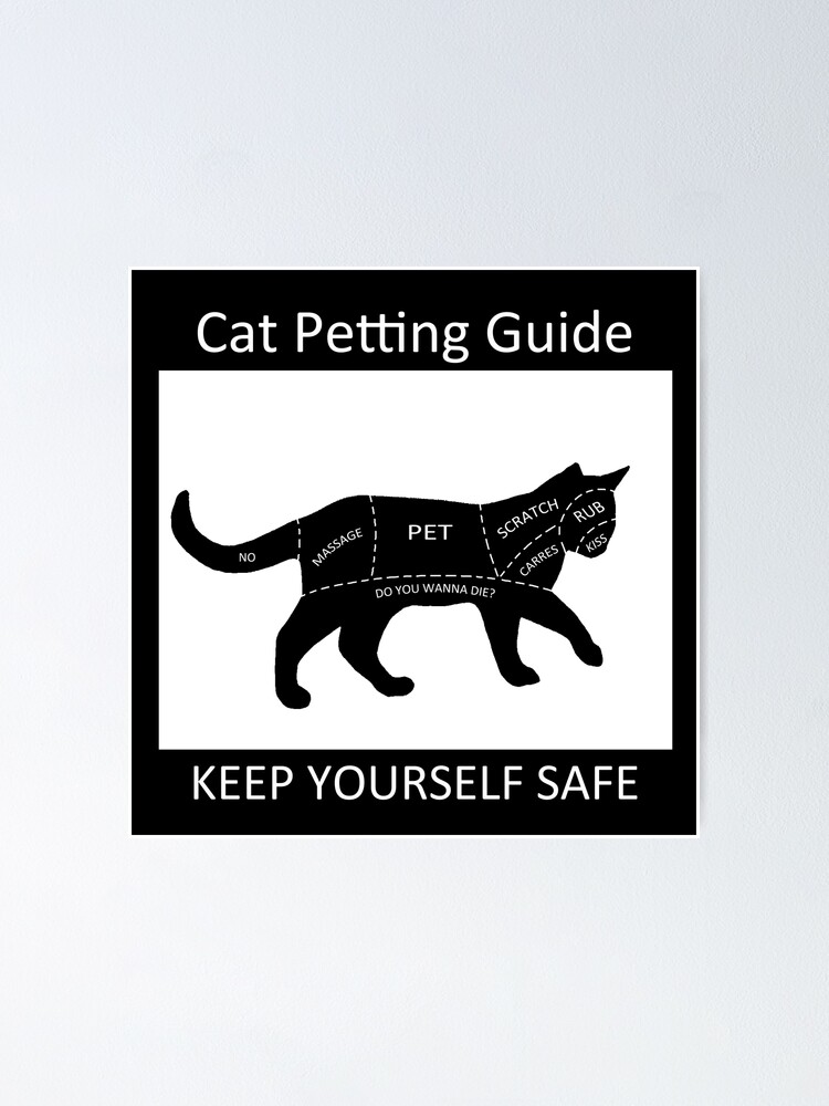 Download Cat Petting Guide Poster By Valentinahramov Redbubble Yellowimages Mockups