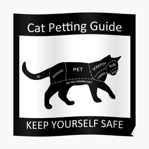 Download Cat Petting Guide Poster By Valentinahramov Redbubble PSD Mockup Templates