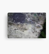 Subtle Canvas Print
