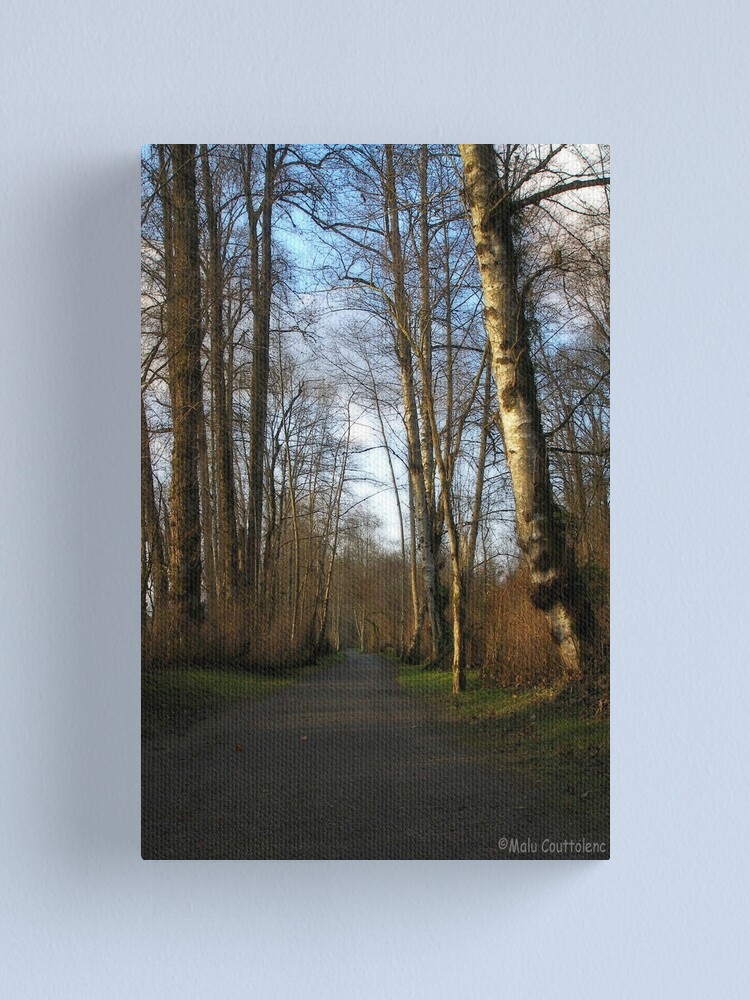 Thumbnail 1 of 3, Canvas Print, Relaxing path designed and sold by MaluC.