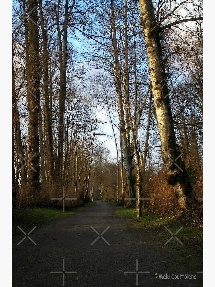 Thumbnail 3 of 3, Canvas Print, Relaxing path designed and sold by MaluC.
