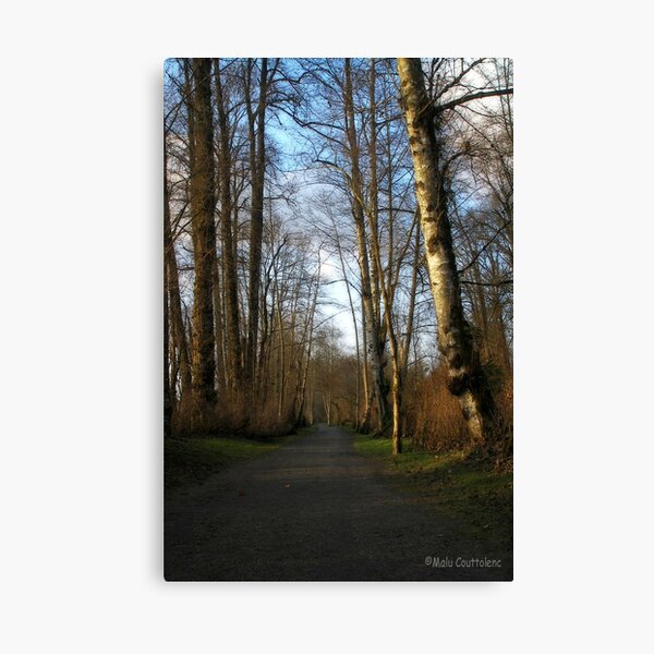 Canvas Print
