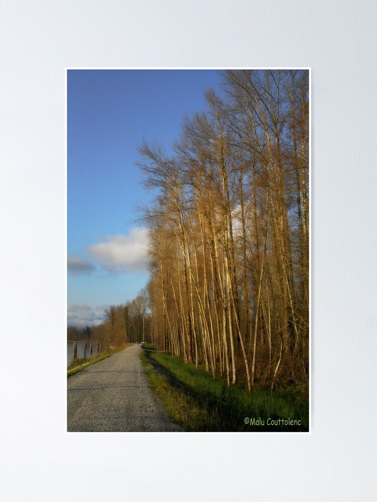 Thumbnail 1 of 3, Poster, River walk 2 designed and sold by MaluC.