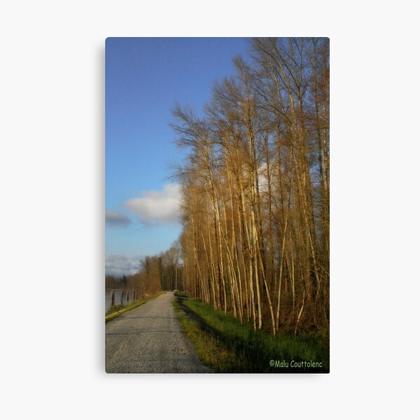 River walk 2 Canvas Print