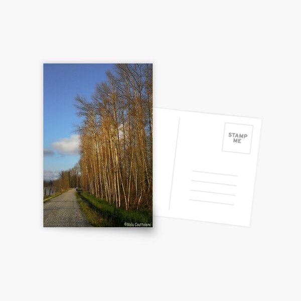 Item preview, River walk 2 designed and sold by MaluC.