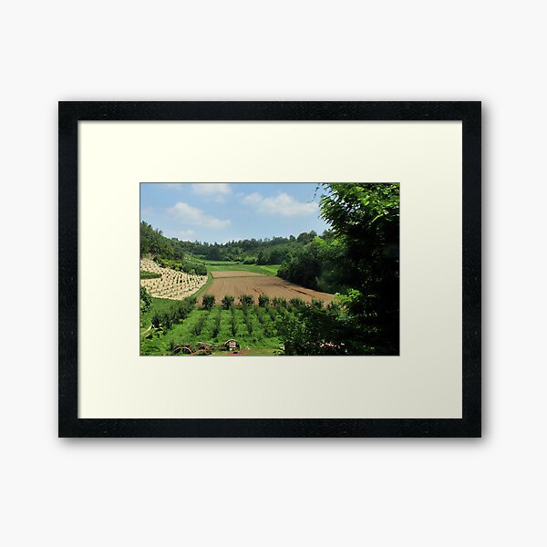 Piemontese Landscape Framed Art Print