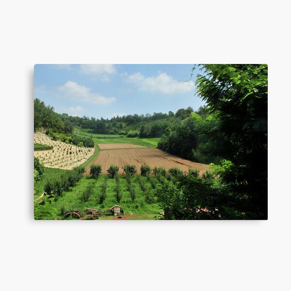 Item preview, Piemontese Landscape designed and sold by MaluC.