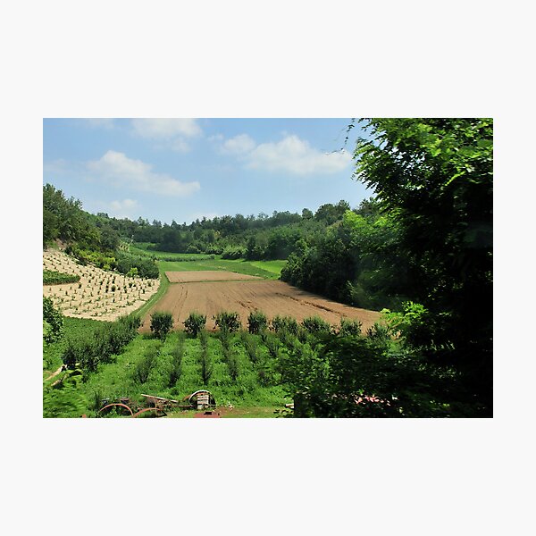 Item preview, Piemontese Landscape designed and sold by MaluC.